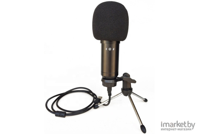 Микрофон Biema BM750