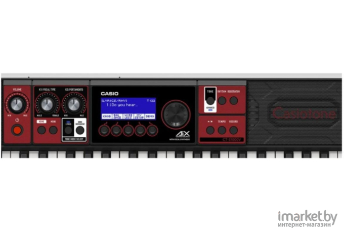 Синтезатор Casio CT-S1000V черный