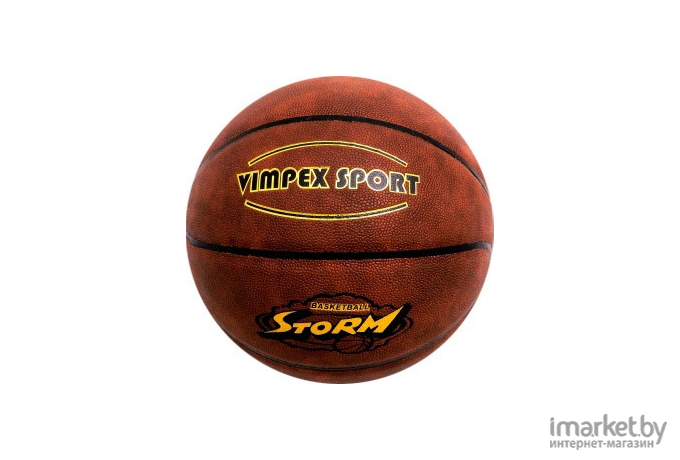 Баскетбольный мяч Vimpex Sport HQ-010 размер 7