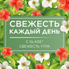 Сменный блок для освежителя воздуха Glade Automatic Свежесть утра 269 мл