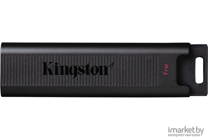 Флэш-накопитель Kingston 1TB Data Traveler Max (DTMAXA/1TB)