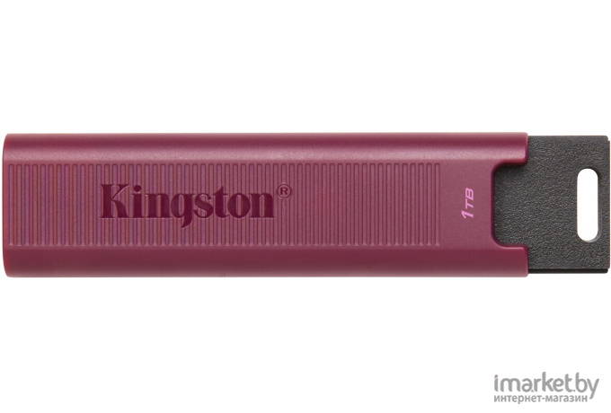 Флэш-накопитель Kingston 1TB Data Traveler Max (DTMAXA/1TB)