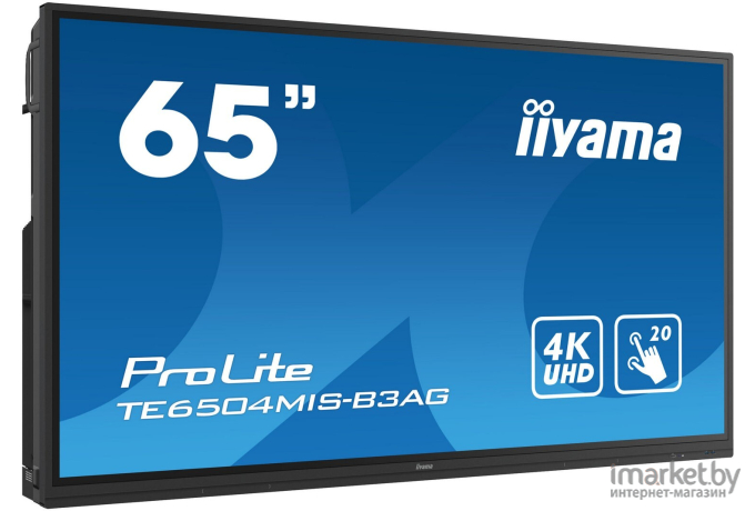 Интерактивная панель Iiyama ProLite TE6504MIS-B3AG