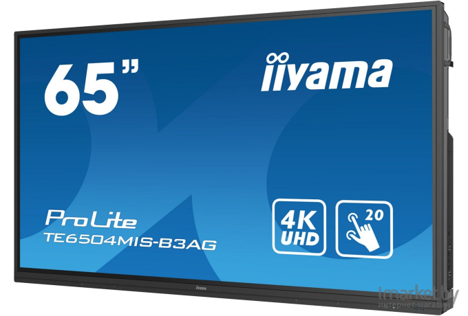 Интерактивная панель Iiyama ProLite TE6504MIS-B3AG