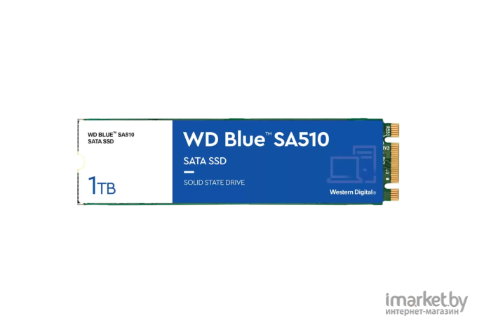 SSD-накопитель WD Blue 1TB (WDS100T3B0B)