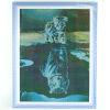 Алмазная живопись Darvish Отражение (DV-11514-47)