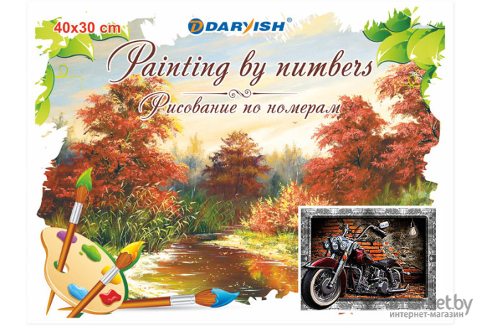 Картина по номерам Darvish Мотоцикл DV-4357-63