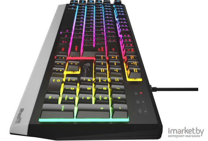 Клавиатура игровая Genesis Rhod 300 RGB (NKG-1823)