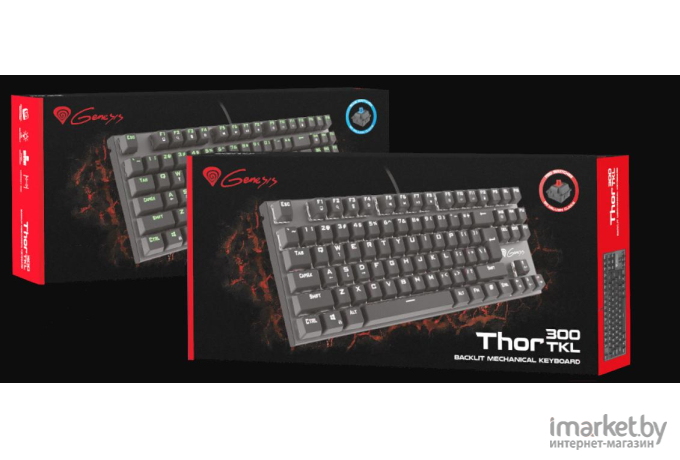 Клавиатура игровая Genesis Thor 300 RGB Outemu Blue (NKG-1465)