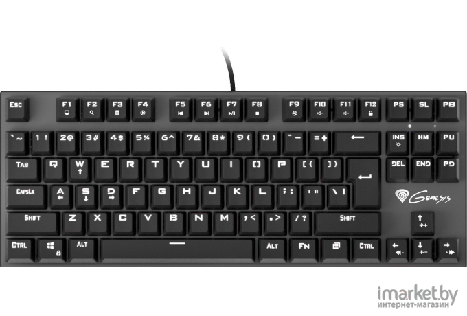 Клавиатура игровая Genesis Thor 300 TKL Outemu Red (NKG-1826)