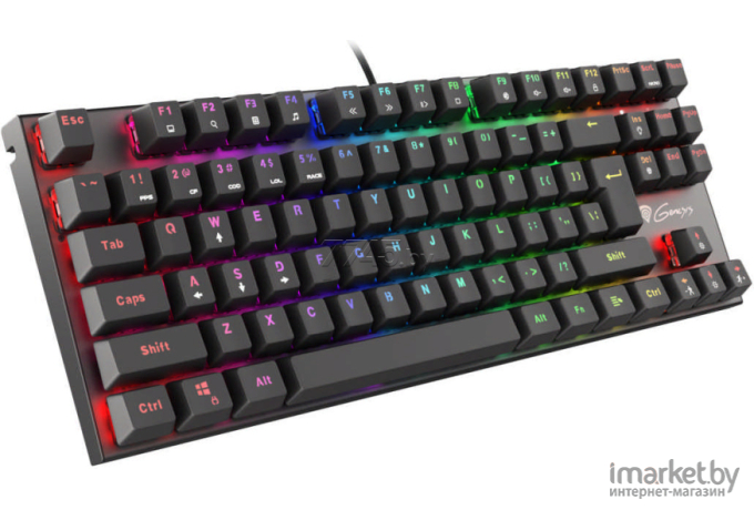 Клавиатура игровая Genesis Thor 300 TKL Outemu Red (NKG-1826)