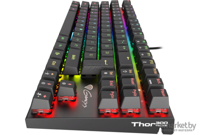 Клавиатура игровая Genesis Thor 300 TKL Outemu Red (NKG-1826)