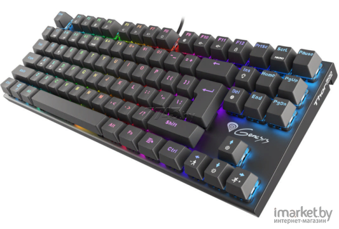 Клавиатура игровая Genesis Thor 300 TKL Outemu Red (NKG-1826)