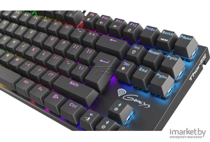 Клавиатура игровая Genesis Thor 300 TKL Outemu Red (NKG-1826)