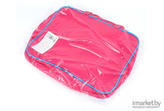 Папка-сумка для А4 Darvish Barbie 90297