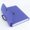 Папка-портфель Darvish Diamond фиолетовый DV-1874D-PR