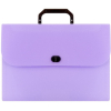 Папка-портфель Darvish Ice фиолетовый DV-1874IE-PR