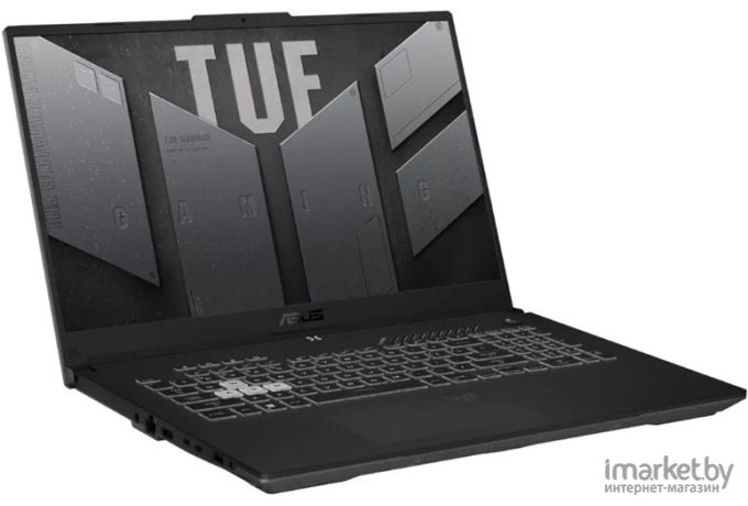Ноутбук ASUS TUF Gaming A17 FA707RM-HX041W Gray (90NR0972-M00200)