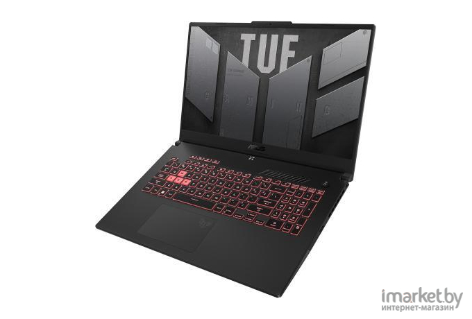 Ноутбук ASUS TUF Gaming A17 FA707RM-HX041W Gray (90NR0972-M00200)