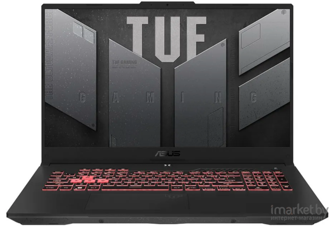 Ноутбук ASUS TUF Gaming A17 FA707RM-HX031W Jaeger Gray (90NR0972-M001P0)