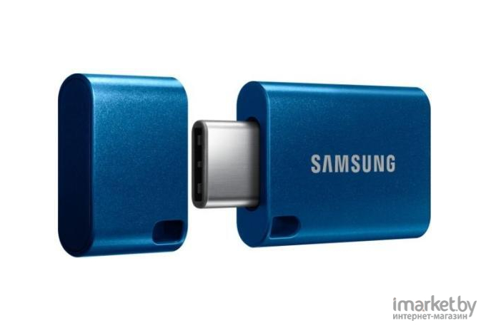 Накопитель USB-Flash (флешка) Samsung 256Gb USB3.1 Type-C (MUF-256DA/APC)