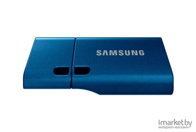 Накопитель USB-Flash (флешка) Samsung 256Gb USB3.1 Type-C (MUF-256DA/APC)