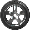 Автомобильные шины Bridgestone Turanza ER33 225/45R17 91W
