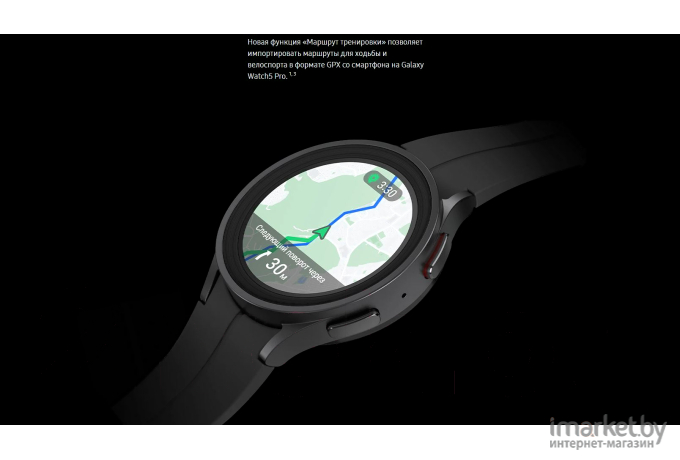 Умные часы Samsung Galaxy Watch 5 Pro Gray (SM-R920NZTACIS)
