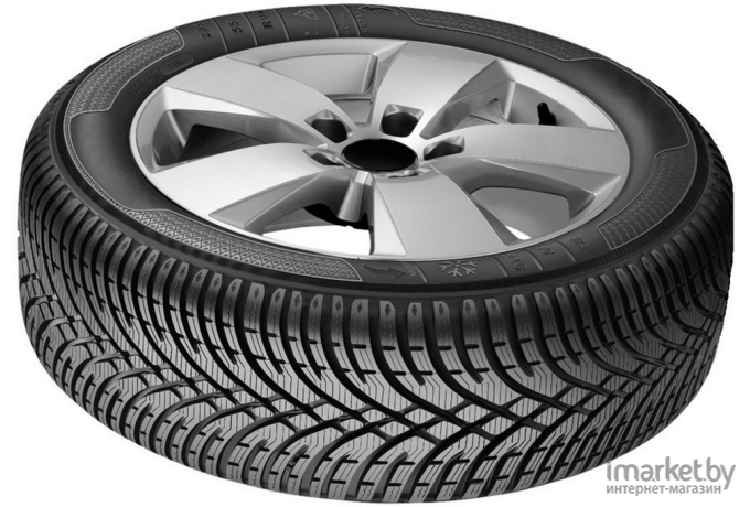 Автомобильные шины BFGoodrich g-Force Winter 2 195/65R15 95T