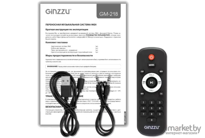 Портативная колонка Ginzzu GM-218