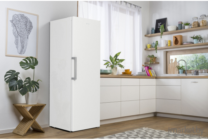 Морозильник Gorenje FN619FEW5 белый