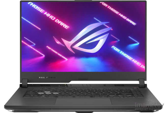 Ноутбук ASUS G513RM-LN007 темно-серый (90NR0845-M00SS0)