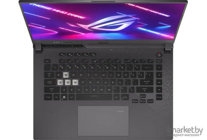 Ноутбук ASUS G513RC-HN088 (90NR08A5-M00700)