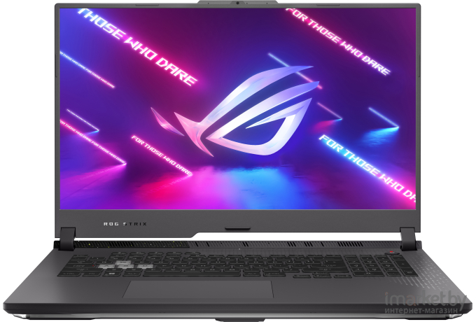 Ноутбук ASUS G713PV-LL045 (90NR0C34-M00670)