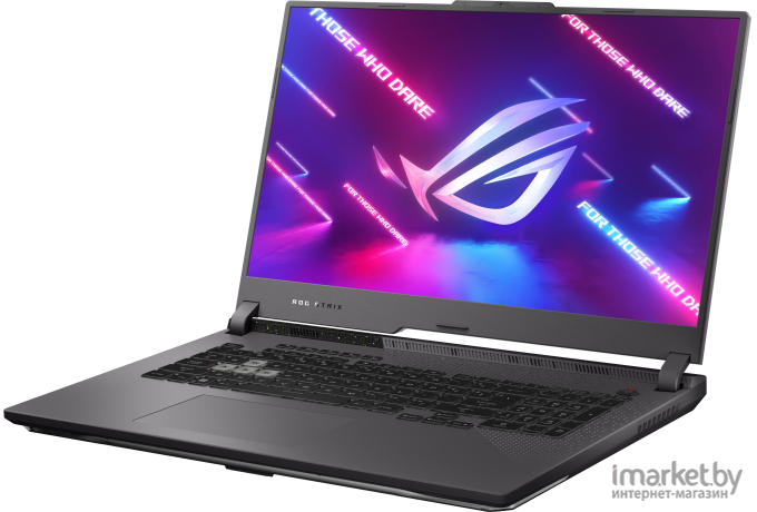 Ноутбук ASUS G713PV-LL045 (90NR0C34-M00670)