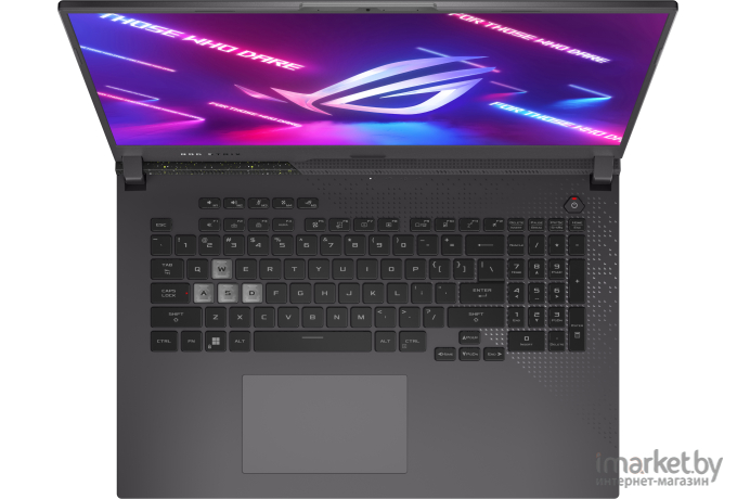 Ноутбук ASUS G713PU-LL043 (90NR0C54-M00350)