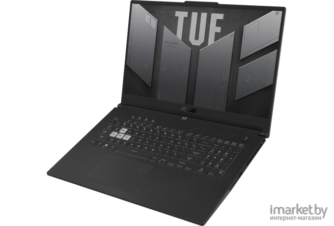 Ноутбук ASUS FX707ZC4-HX015 (90NR0GX1-M000L0)