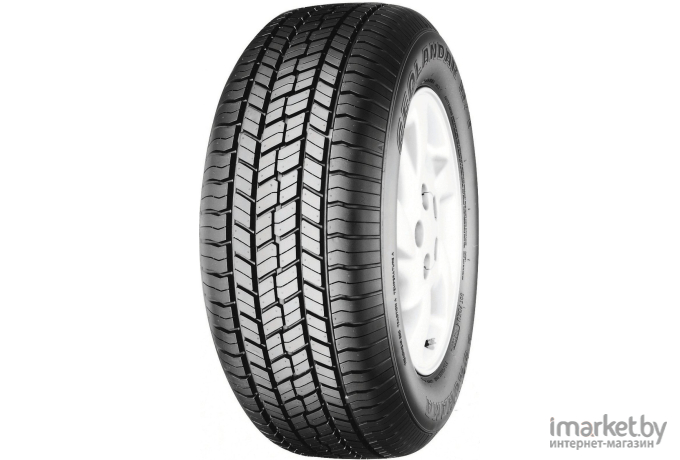 Автомобильные шины Yokohama Geolandar G033V 215/70R16 100H