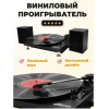 Виниловый проигрыватель Ritmix LP-240 Black