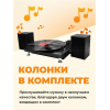 Виниловый проигрыватель Ritmix LP-240 Black