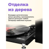 Виниловый проигрыватель Ritmix LP-240 Black