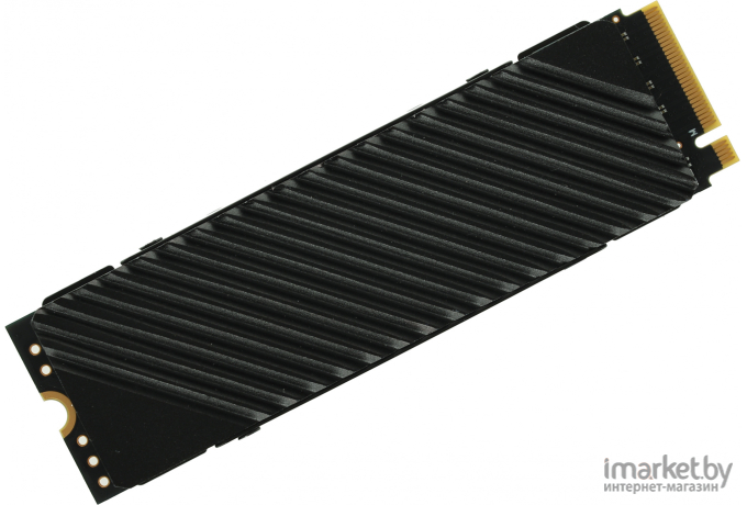 Накопитель SSD Digma PCI-E 4.0 x4 2Tb DGST4002TG33T