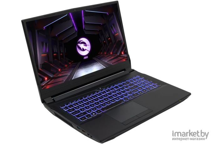 Ноутбук Hiper G16 Core i7 11700 black (G16RTX3070A11700LX)