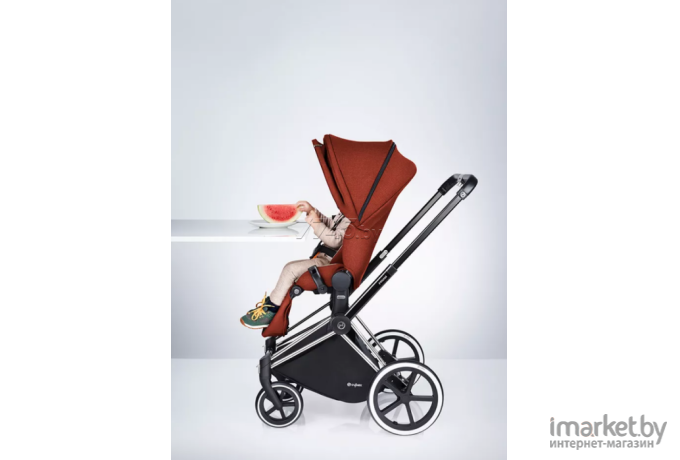 Прогулочная коляска Cybex Priam Jeremy Scott wings