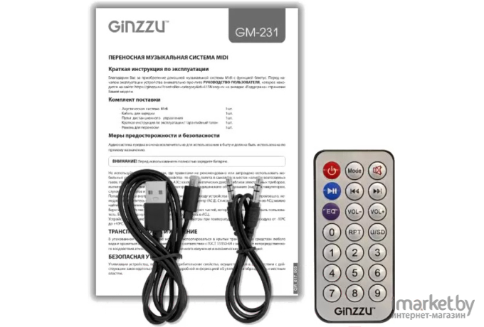 Портативная колонка Ginzzu GM-231