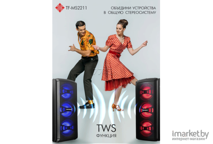 Музыкальный центр Telefunken TF-MS2211