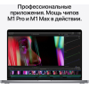 Ноутбук Apple MacBook Pro A2485 M1 Pro 10 grey space (MK193B/A)