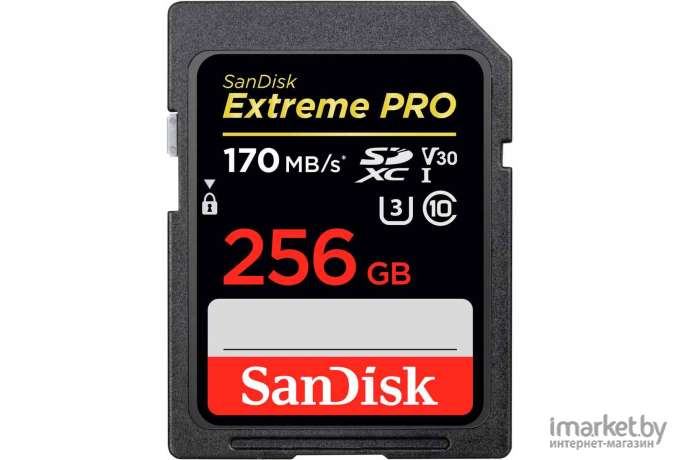 Карта памяти SanDisk SDXC 256GB Extreme Pro UHS-I Class 3 (SDSDXXD-256G-GN4IN)