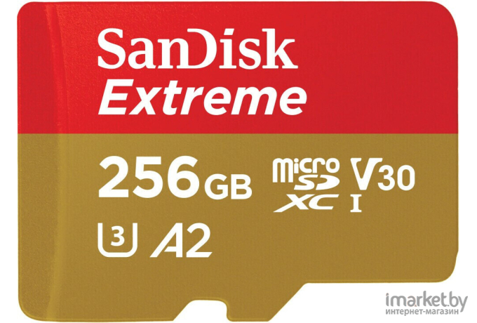 Карта памяти SanDisk microSDXC 256GB Ultra Class 10 (SDSQXAV-256G-GN6MN)