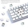 Клавиатура Royal Kludge RK71 White (USB/2.4 GHz/Bluetoth, RGB, Hot Swap, Brown switch)